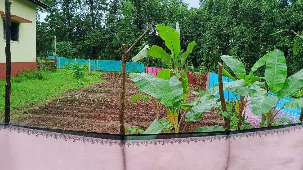 जि.प.शाळा मडूरा नं.1 येथील परसबाग